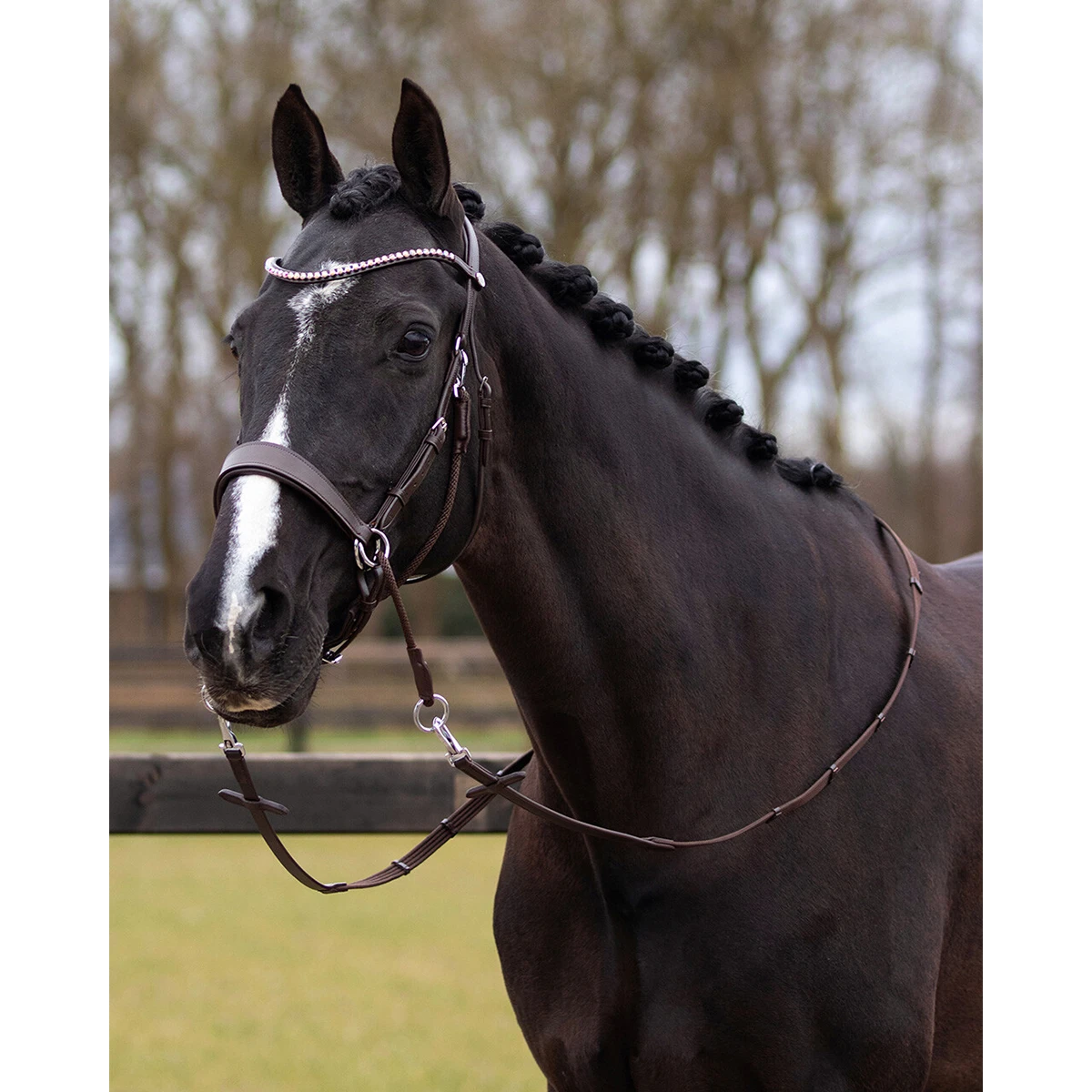 Bitloos Hoofdstel QHP Sunna Donkerbruin - Afbeelding 2