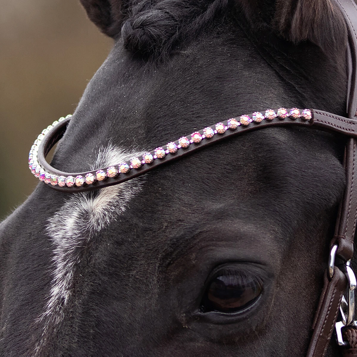 Bitloos Hoofdstel QHP Sunna Donkerbruin - Afbeelding 3