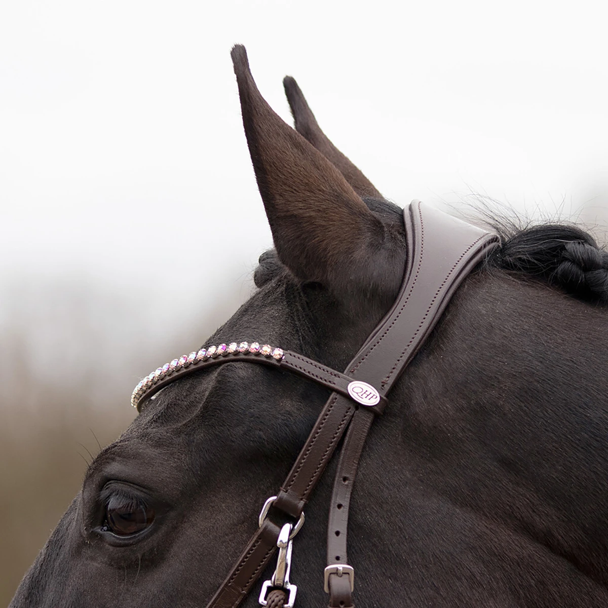 Bitloos Hoofdstel QHP Sunna Donkerbruin - Afbeelding 4