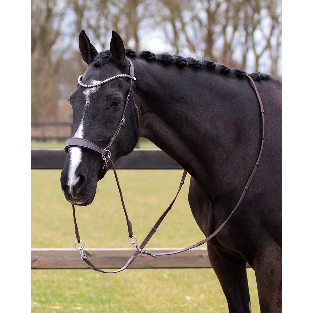 Bitloos Hoofdstel QHP Sunna Donkerbruin - Afbeelding 9