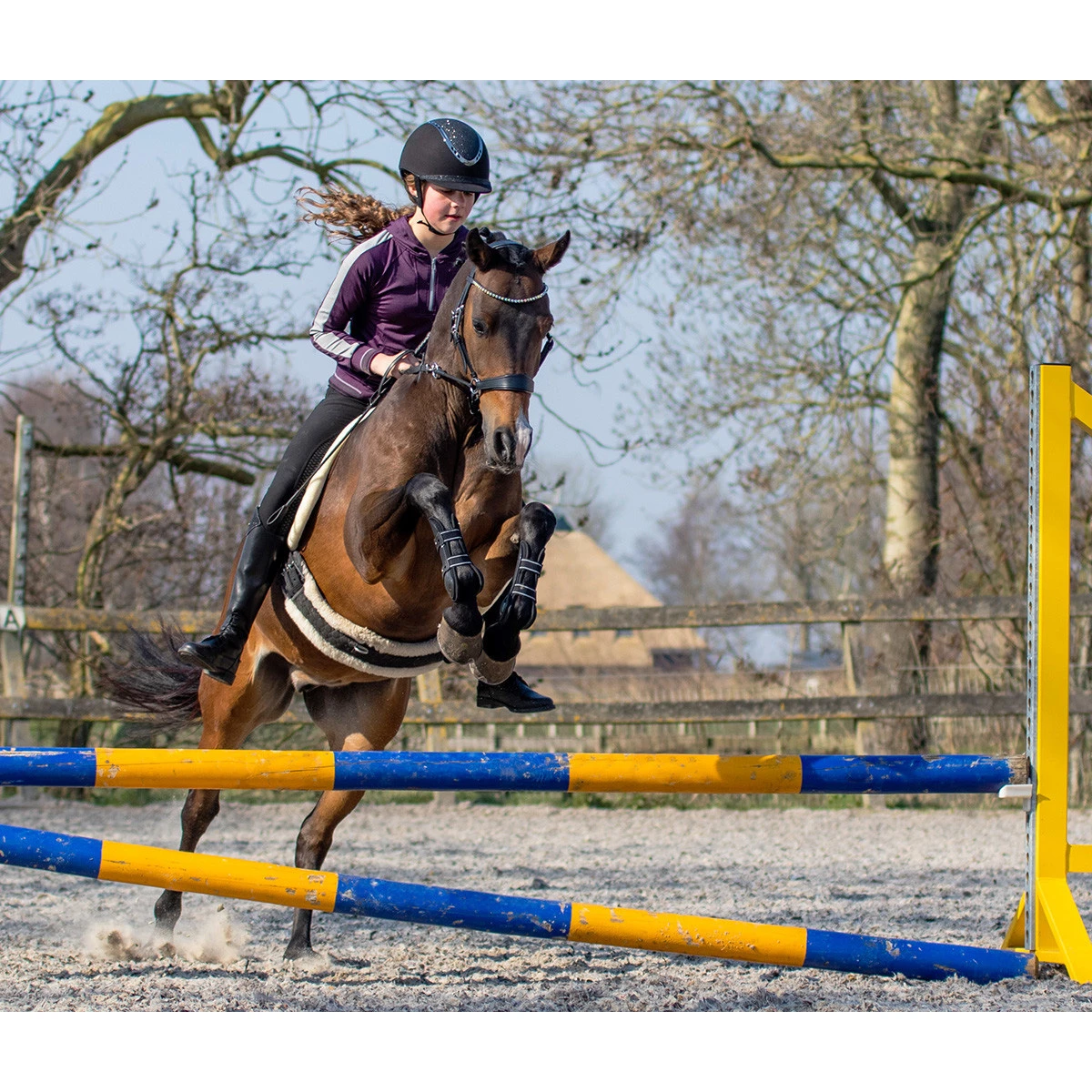 Bitloos Hoofdstel QHP Sunna Zwart - Afbeelding 8