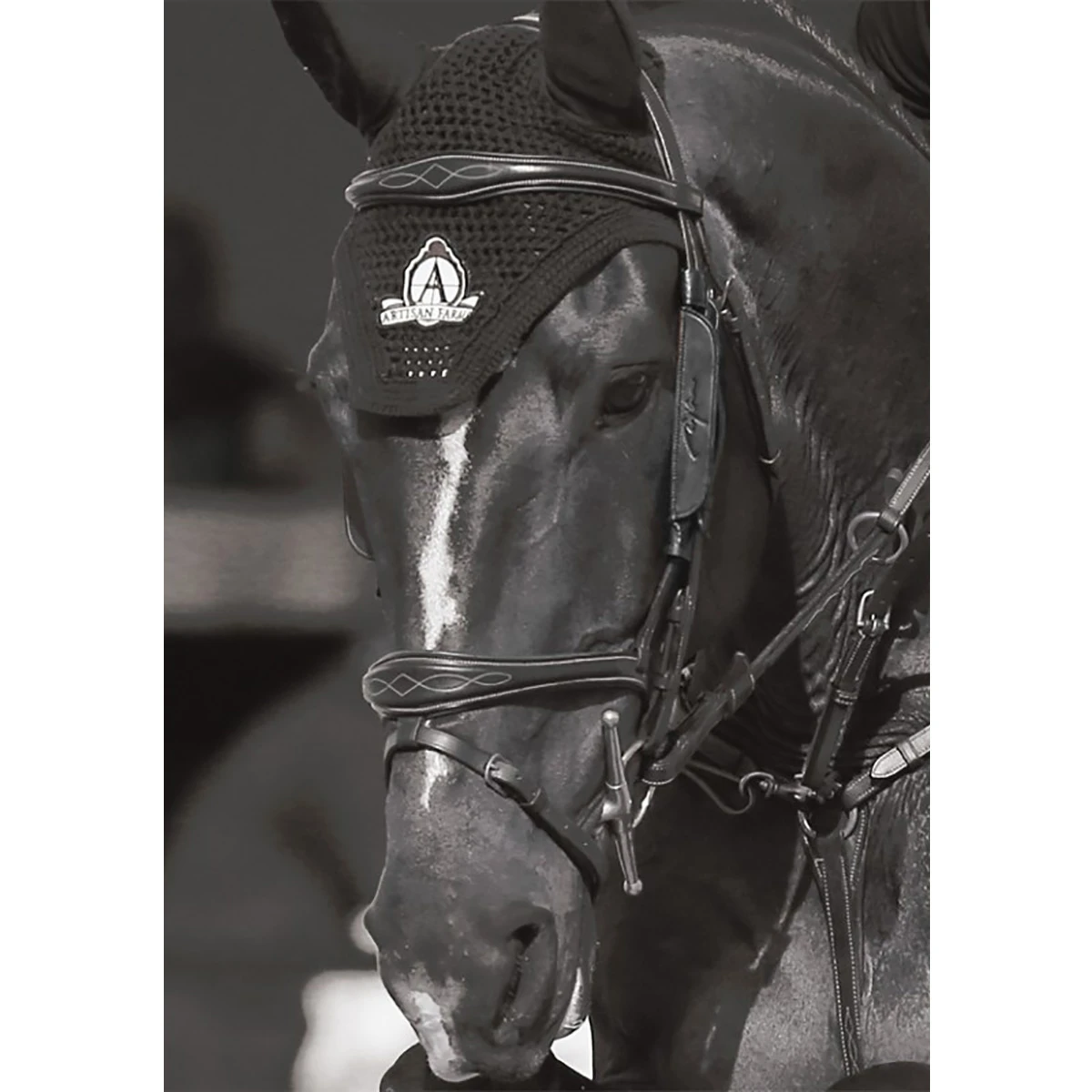 Blinkers Dy'on Zwart - Afbeelding 4