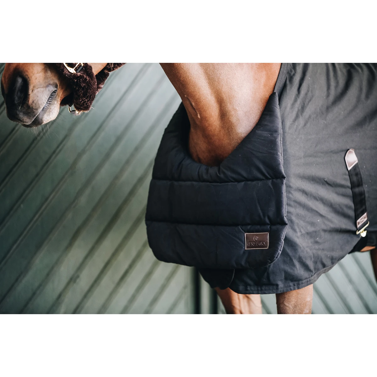 Borstbeschermer Kentucky Summer Zwart - Afbeelding 2