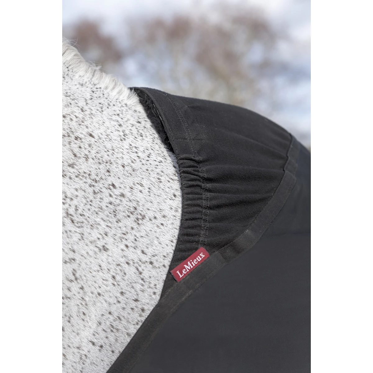 Borstbeschermers LeMieux Zwart - Afbeelding 2