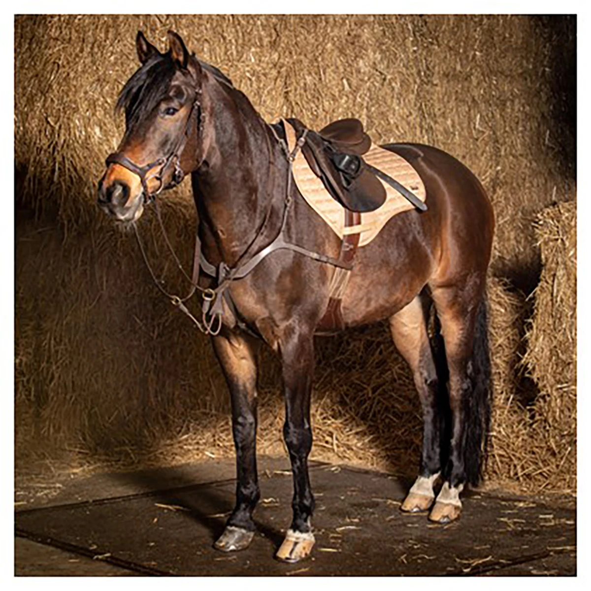 Borsttuig Harry's Horse Luxe Bruin - Afbeelding 3