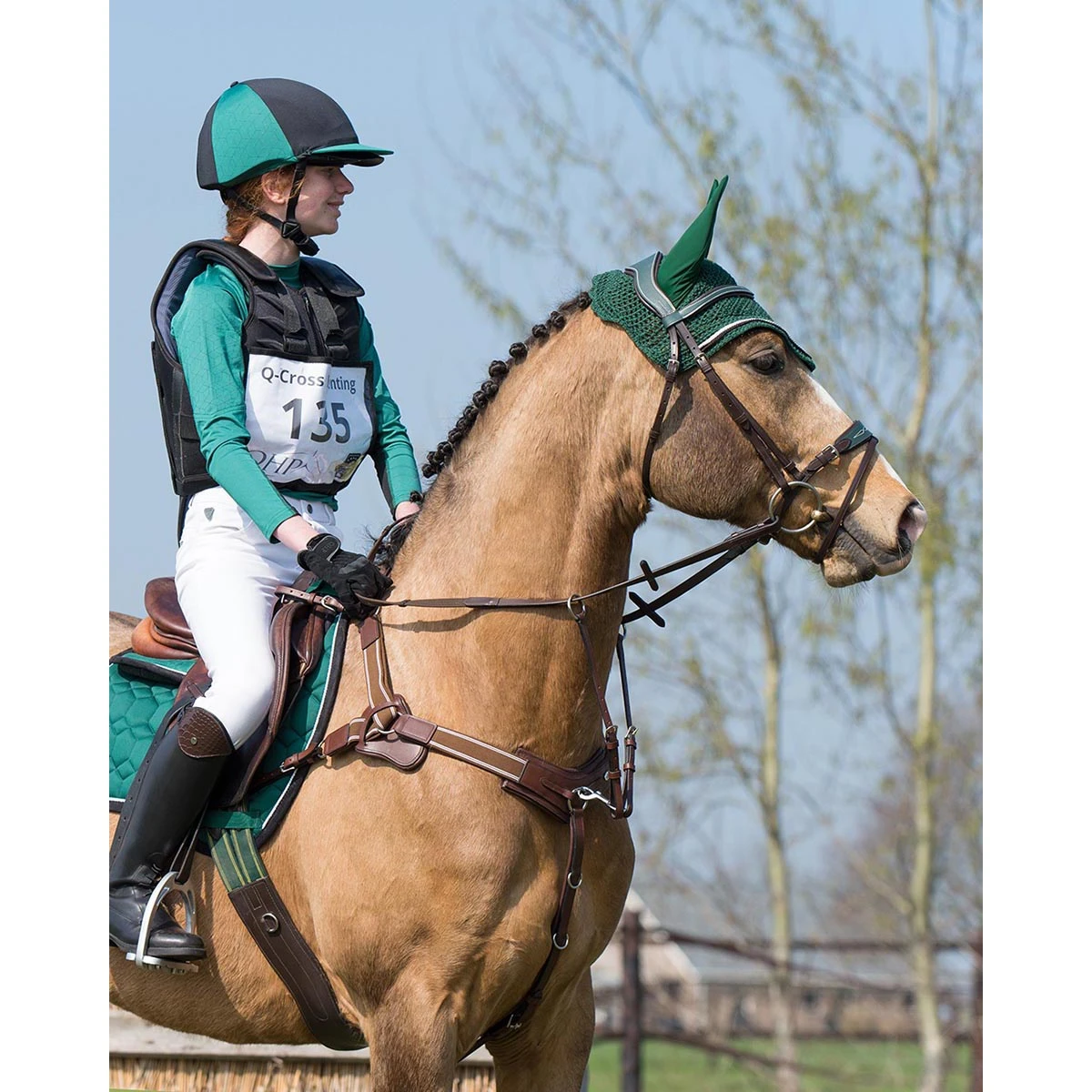 Borsttuig Met Martingaal QHP Sedna Bruin - Afbeelding 3