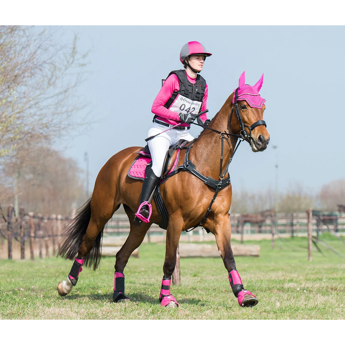 Borsttuig Met Martingaal QHP Sedna Zwart - Afbeelding 3