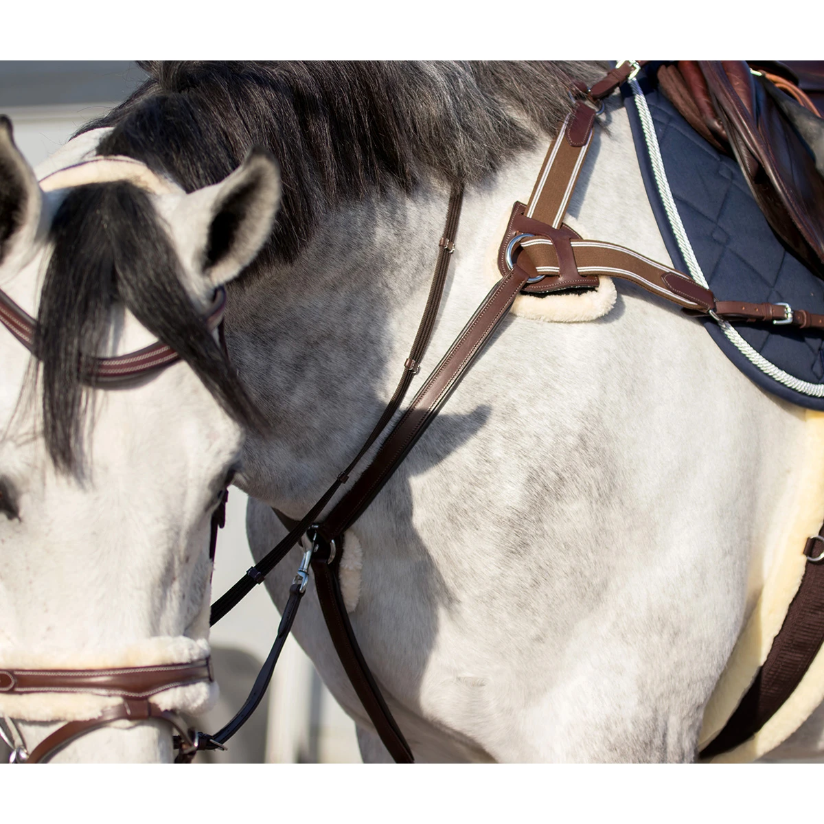 Borsttuig QHP Ontario Bruin - Afbeelding 3