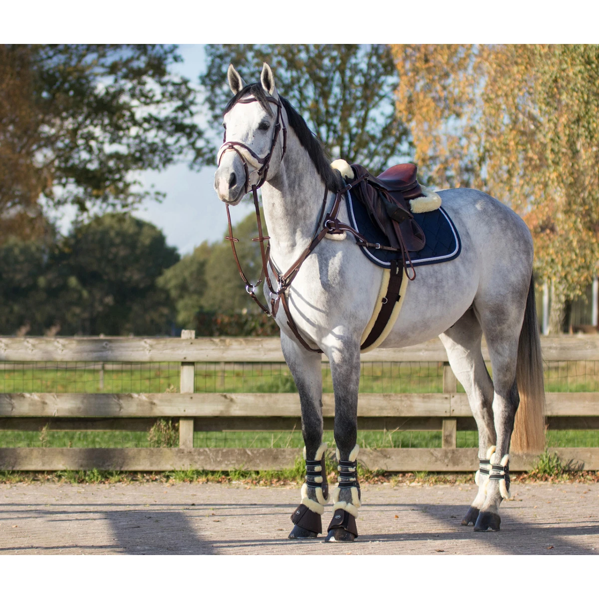 Borsttuig QHP Ontario Bruin - Afbeelding 5