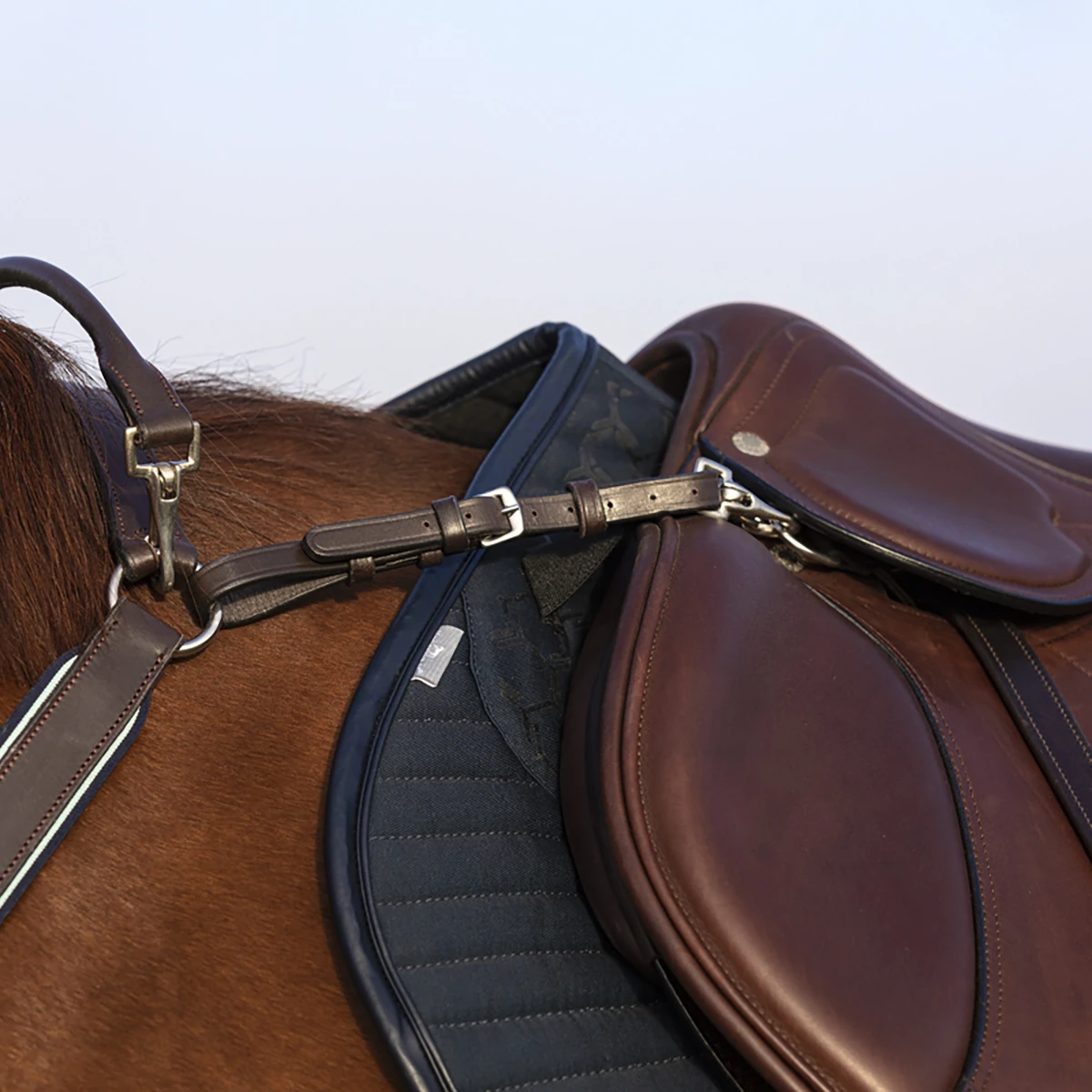 Borsttuig Rambo Micklem Bruin - Afbeelding 6