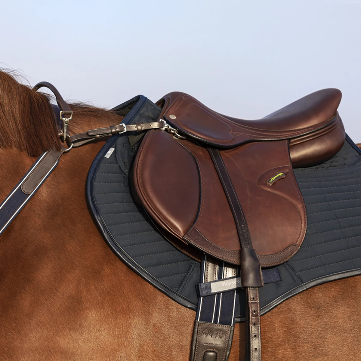 Borsttuig Rambo Micklem Bruin - Afbeelding 7