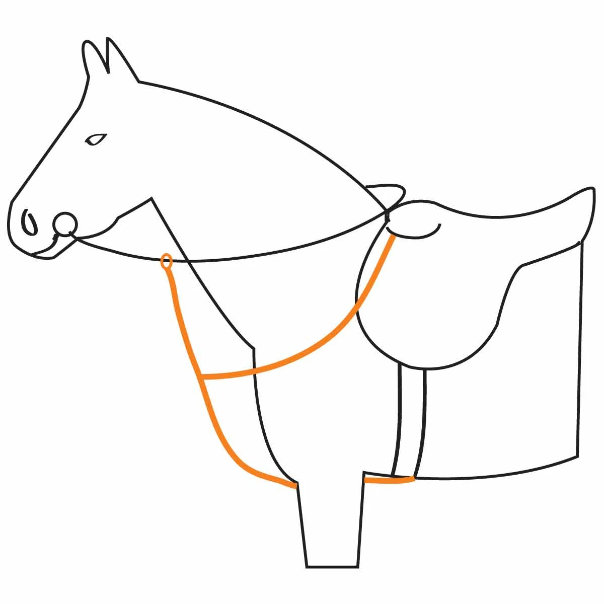 Borsttuig Schockemöhle Projump Bruin-goud - Afbeelding 2