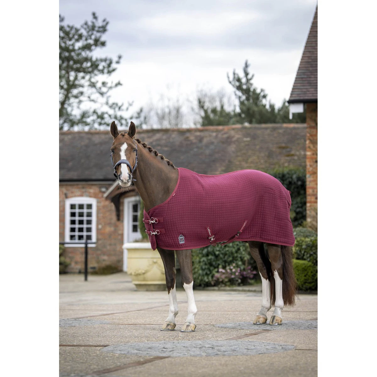 Cooler LeMieux Arika Clima-Tek Donkerrood - Afbeelding 2