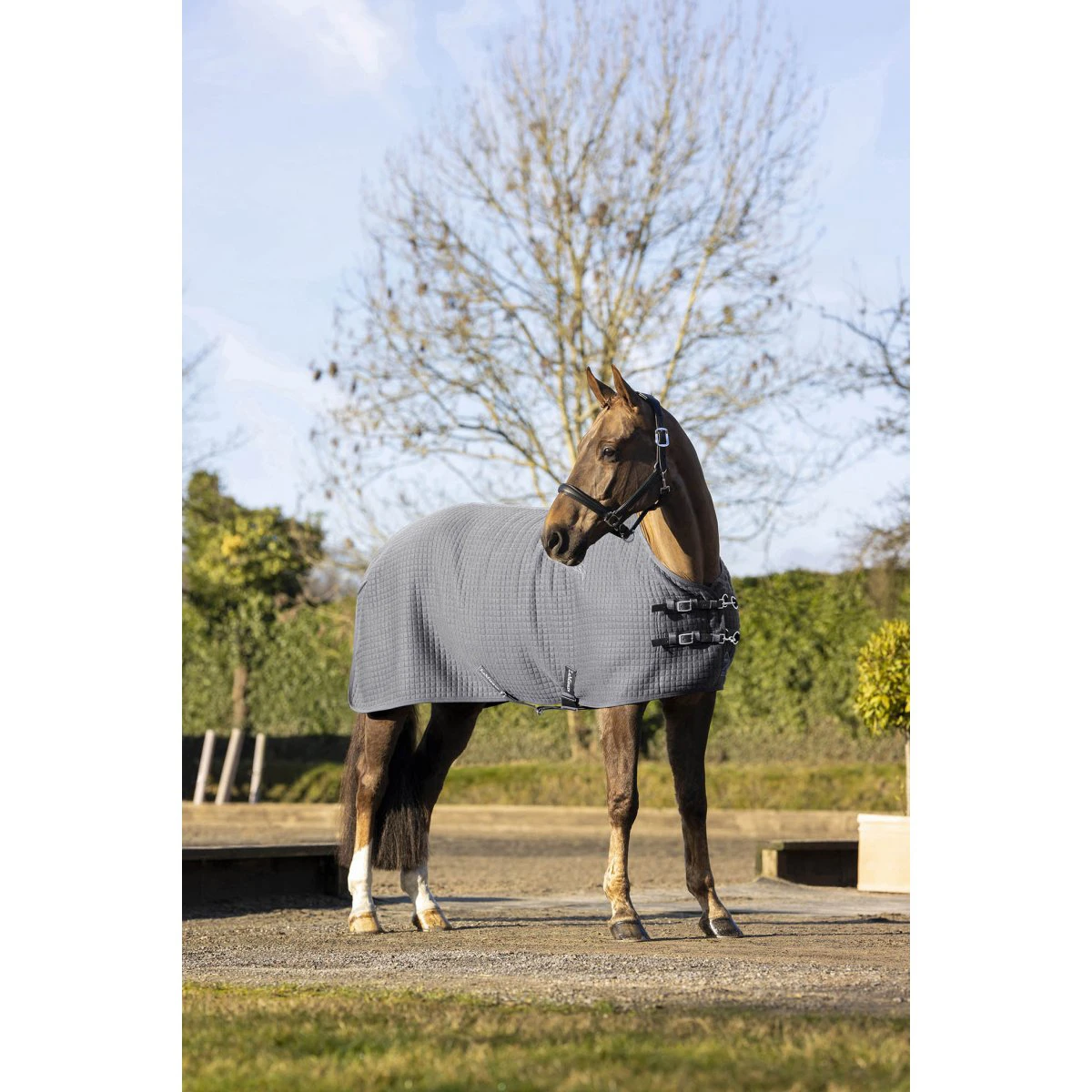 Cooler LeMieux Arika Clima-Tek Grijs - Afbeelding 2