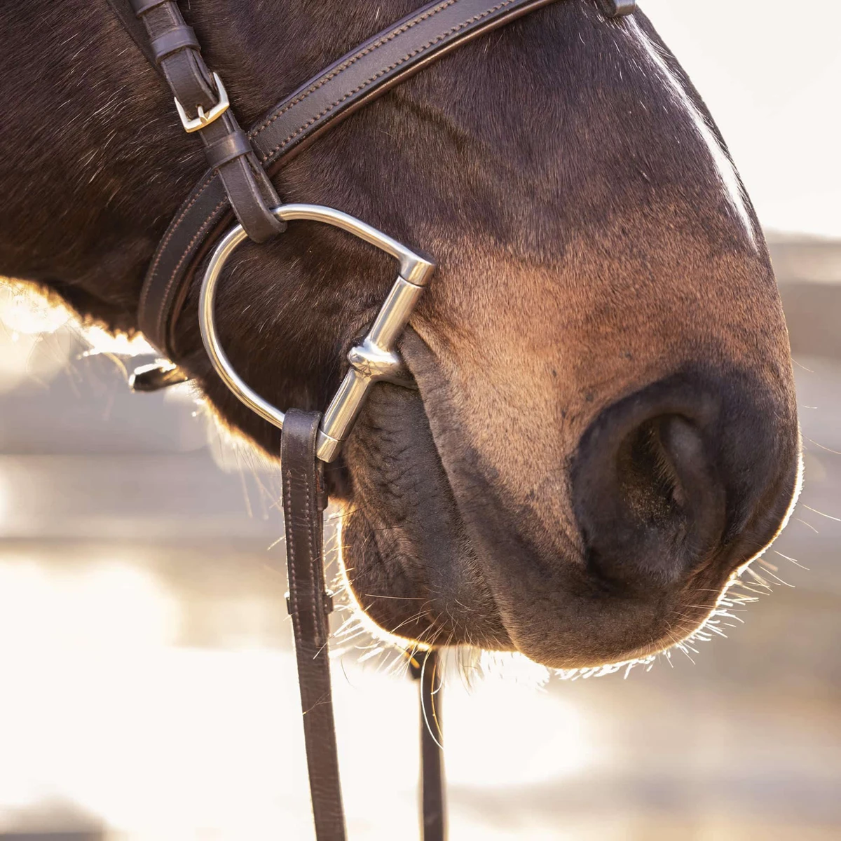 D-Trens Sprenger Enkelgebroken 16mm Overige - Afbeelding 2