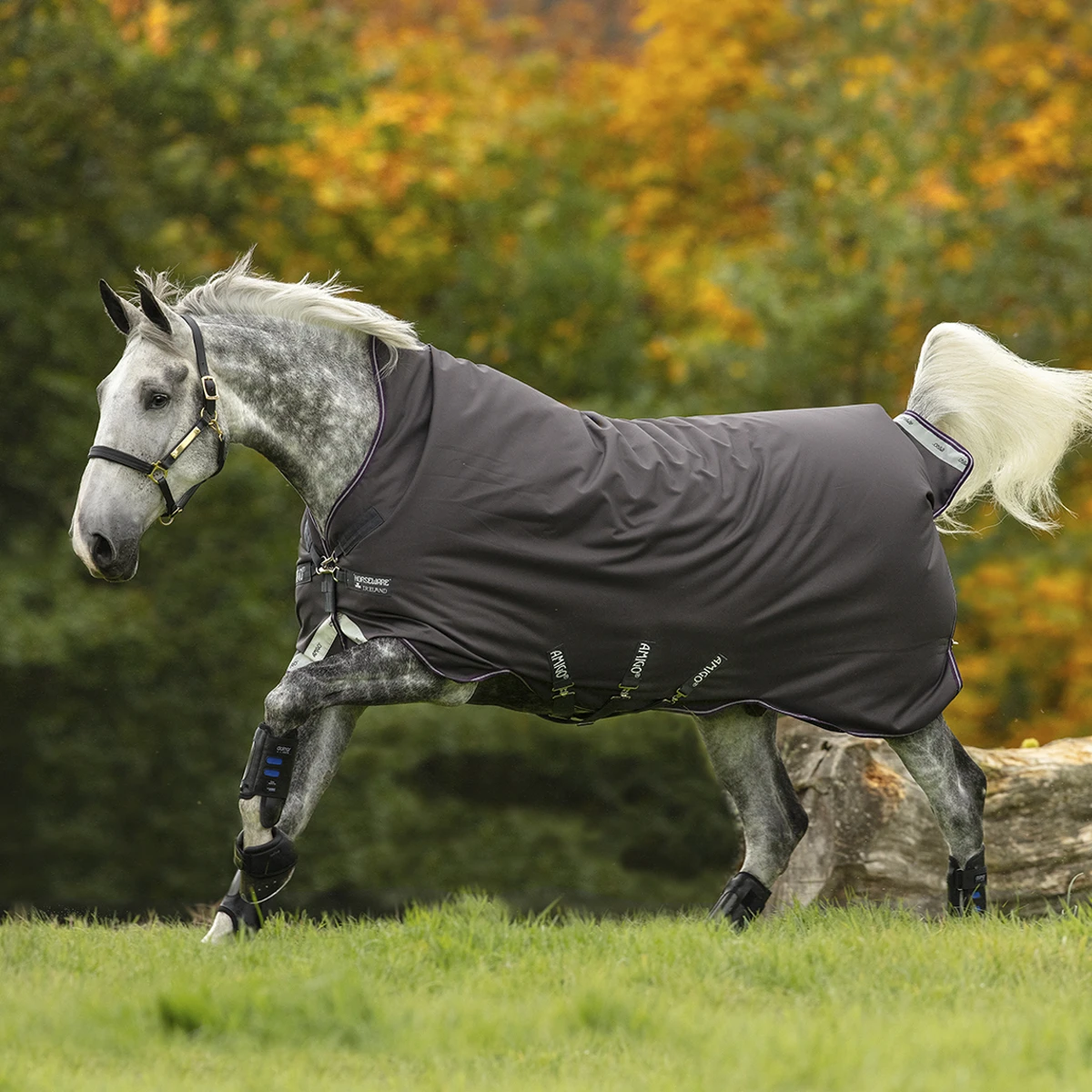 Deken Amigo Bravo 1200D Wug 250gr Grijs-paars - Afbeelding 3