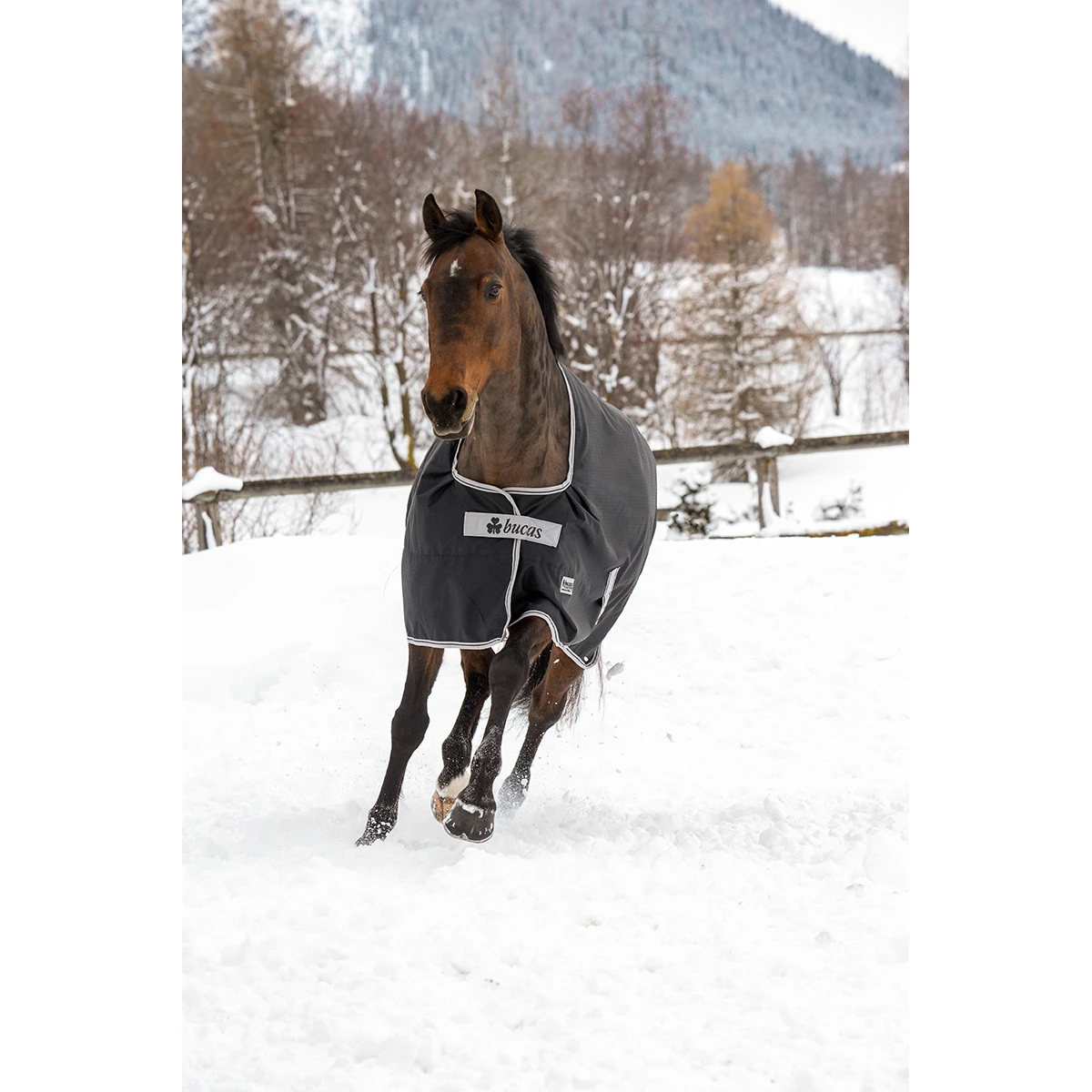 Deken Bucas Anniversary 200gr Zwart-zilver - Afbeelding 2