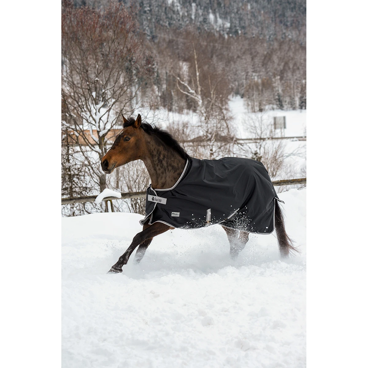 Deken Bucas Anniversary 200gr Zwart-zilver - Afbeelding 3