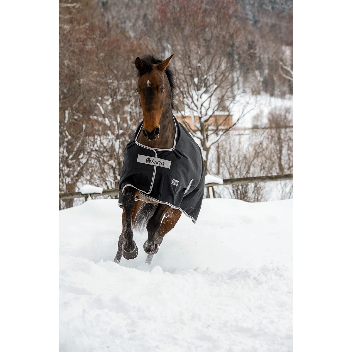 Deken Bucas Anniversary 200gr Zwart-zilver - Afbeelding 4