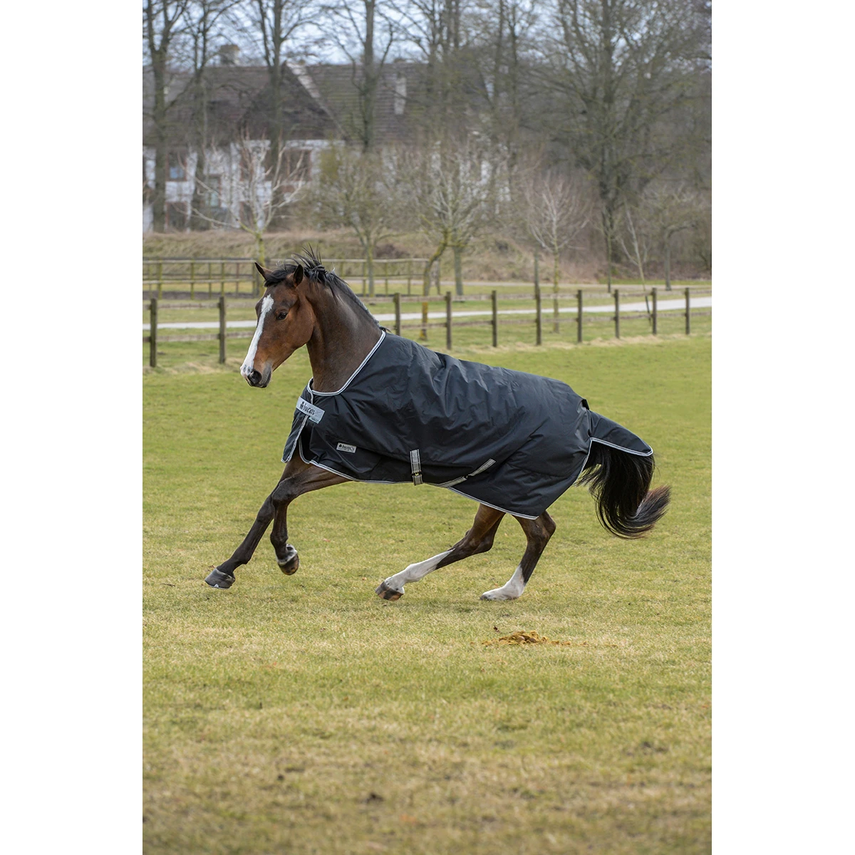 Deken Bucas Anniversary Turnout Stay-Dry 150gr Zwart-zilver - Afbeelding 5