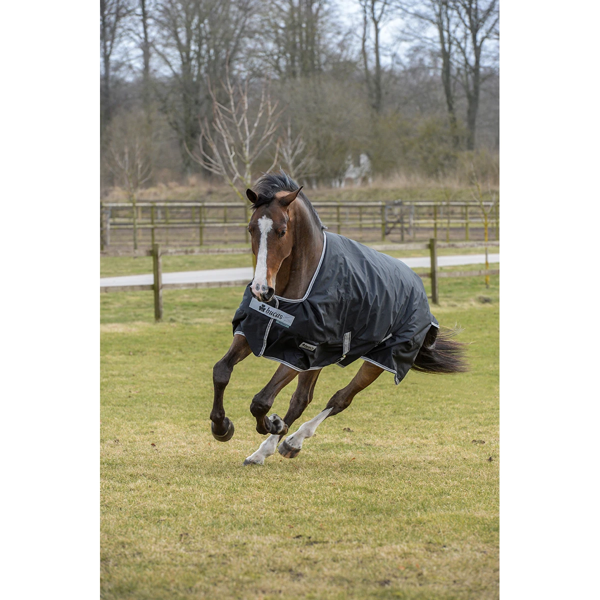Deken Bucas Anniversary Turnout Stay-Dry 150gr Zwart-zilver - Afbeelding 6