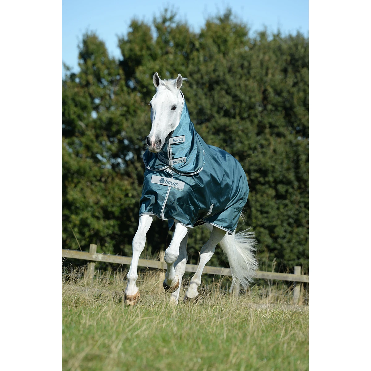 Deken Bucas Atlantic 400gr Groen - Afbeelding 2