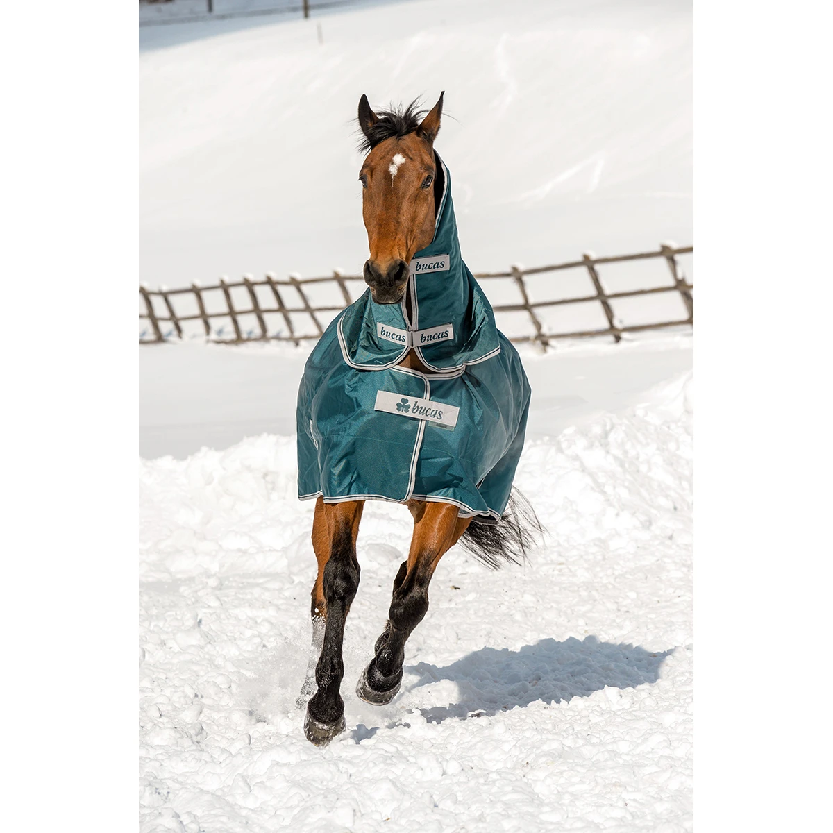 Deken Bucas Atlantic 400gr Groen - Afbeelding 3