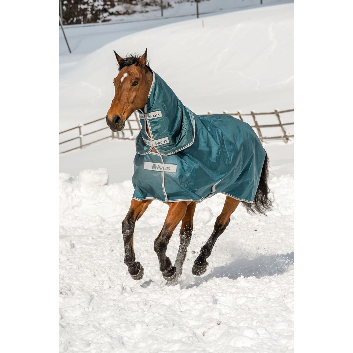 Deken Bucas Atlantic 400gr Groen - Afbeelding 4