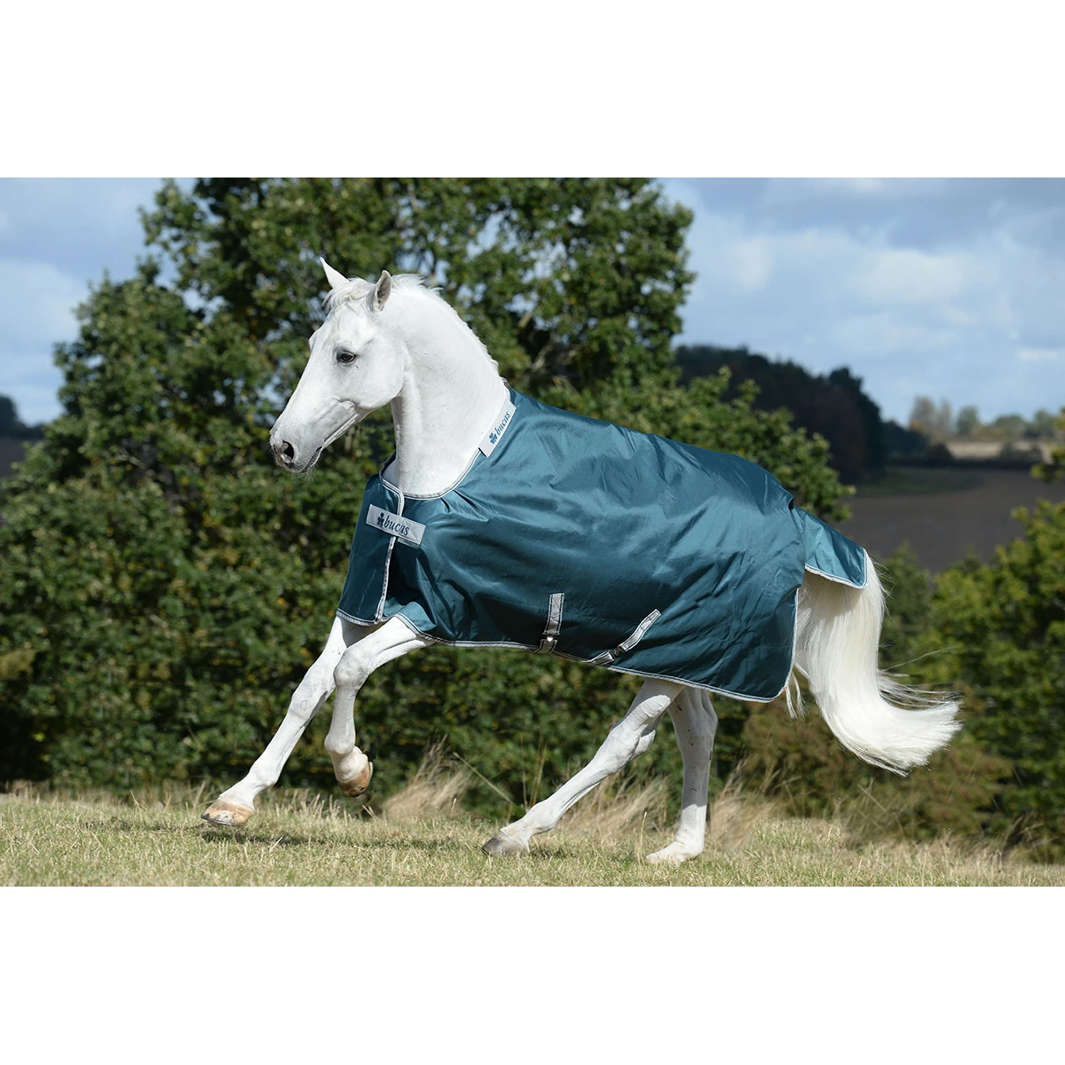 Deken Bucas Atlantic 400gr Groen - Afbeelding 6