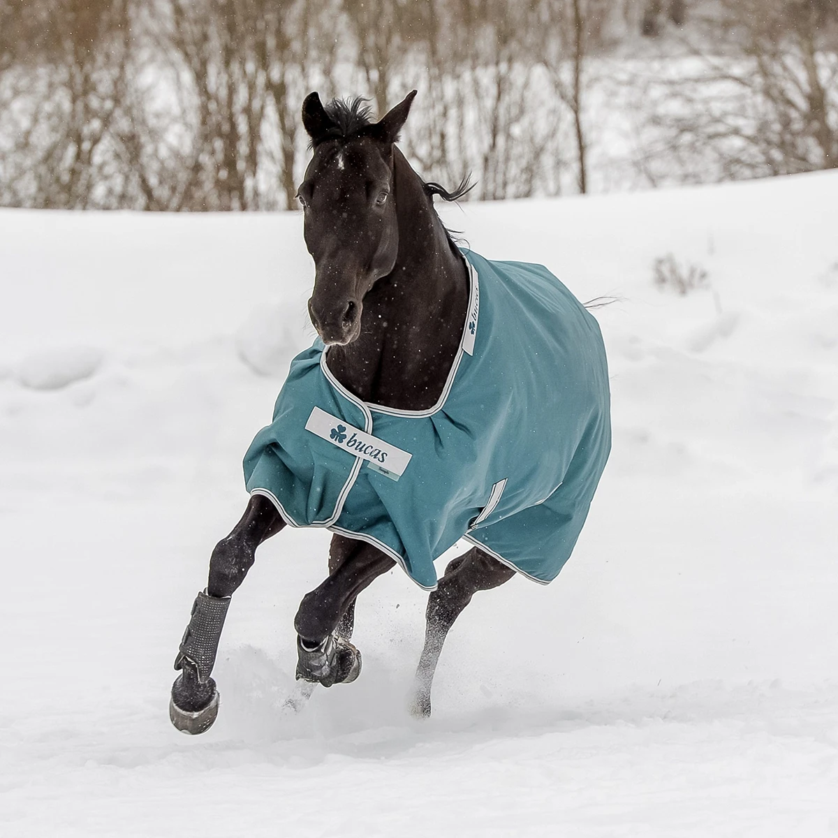 Deken Bucas Atlantic Turnout 200gr Donkergroen - Afbeelding 7