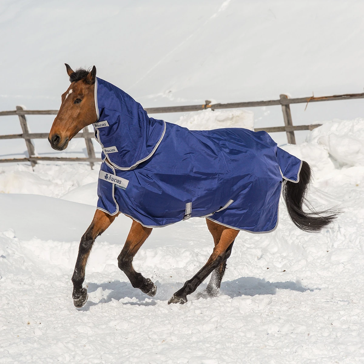 Deken Bucas Atlantic Turnout Full Neck 200gr Donkerblauw - Afbeelding 2