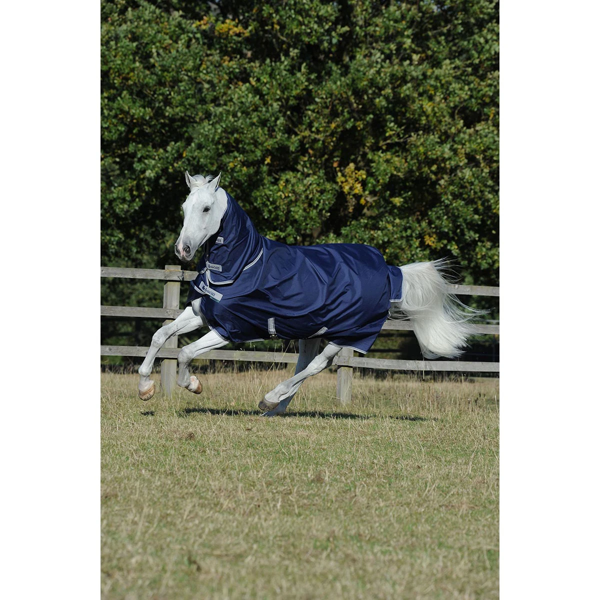 Deken Bucas Freedom Turnout Full Neck 300gr Donkerblauw - Afbeelding 3