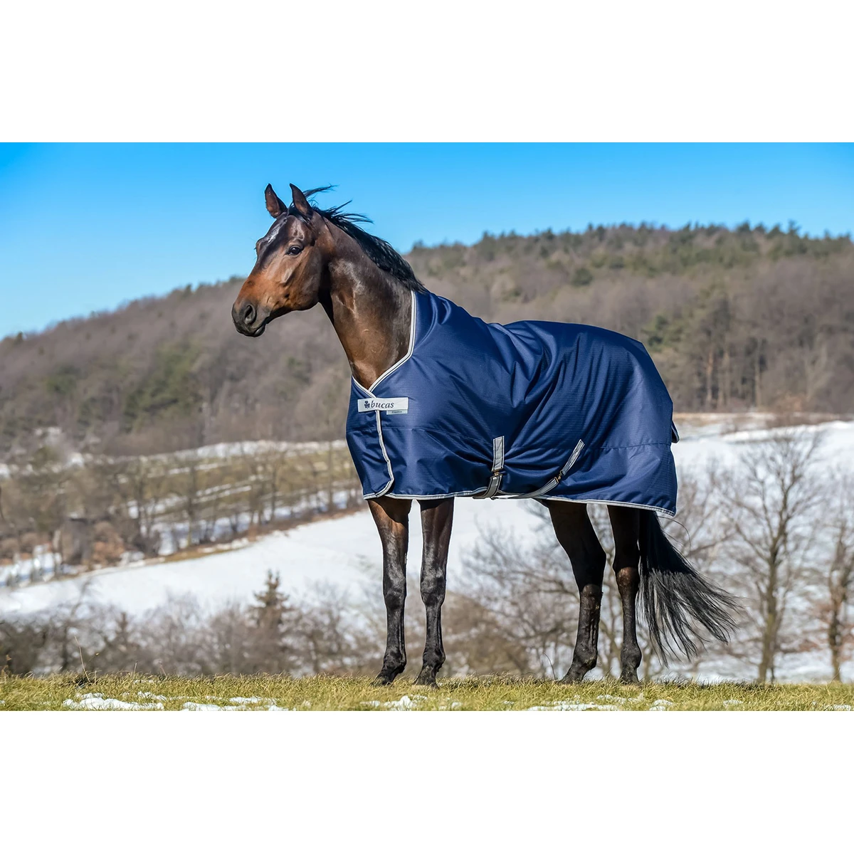 Deken Bucas Freedom Turnout High Neck 0gr Donkerblauw - Afbeelding 2