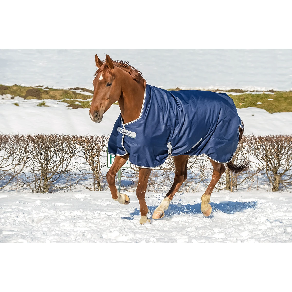 Deken Bucas Freedom Turnout High Neck 0gr Donkerblauw - Afbeelding 3