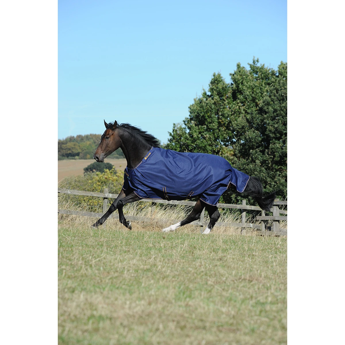 Deken Bucas Irish Turnout 150gr Donkerblauw-goud - Afbeelding 2