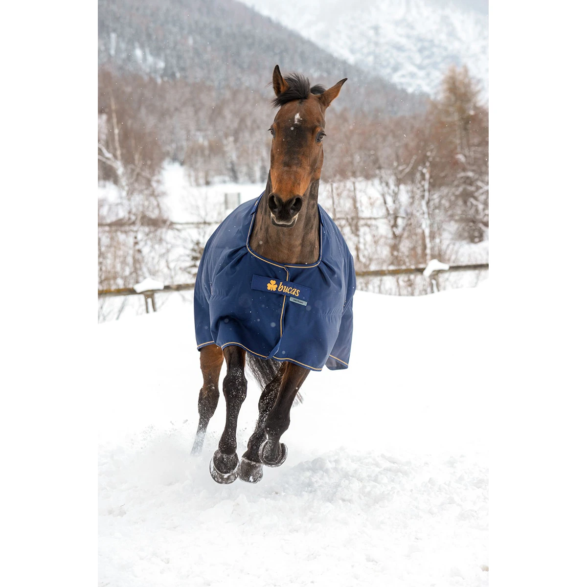 Deken Bucas Irish Turnout 150gr Donkerblauw-goud - Afbeelding 3