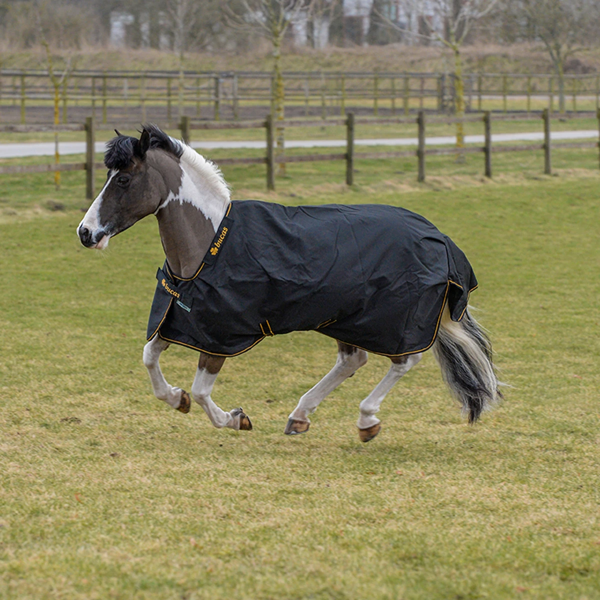 Deken Bucas Irish Turnout Light 50gr Pony Zwart-goud - Afbeelding 3