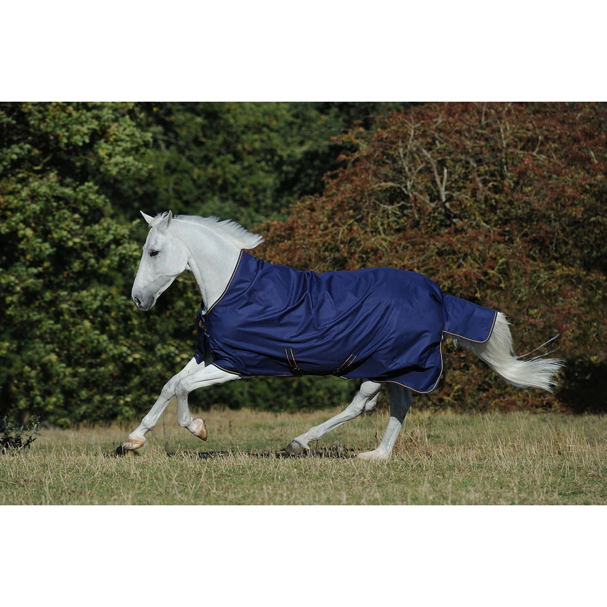 Deken Bucas Irish Turnout Light High Neck 50gr Donkerblauw-goud - Afbeelding 2
