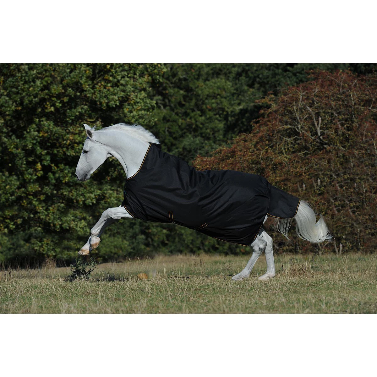 Deken Bucas Irish Turnout Light High Neck 50gr Zwart-goud - Afbeelding 2