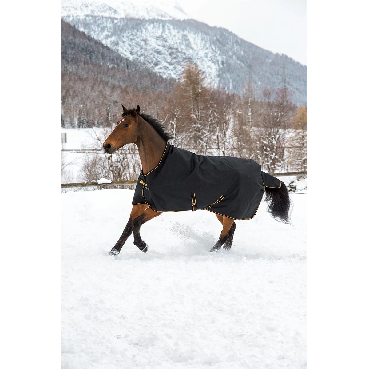 Deken Bucas Irish Turnout Light High Neck 50gr Zwart-goud - Afbeelding 3