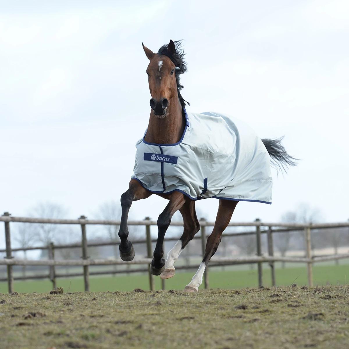 Deken Bucas Power Turnout Big Neck 0gr Zilver - Afbeelding 4