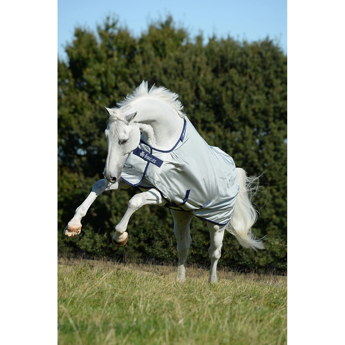 Deken Bucas Power Turnout Big Neck 0gr Zilver - Afbeelding 5