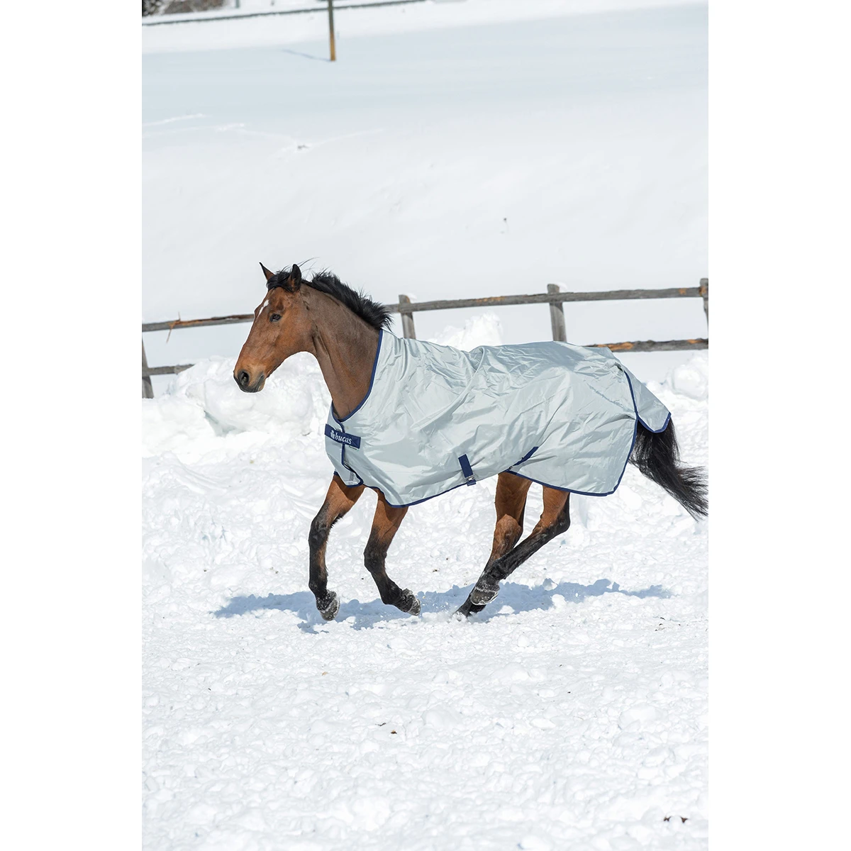 Deken Bucas Power Turnout High Neck 0gr Zilver - Afbeelding 2