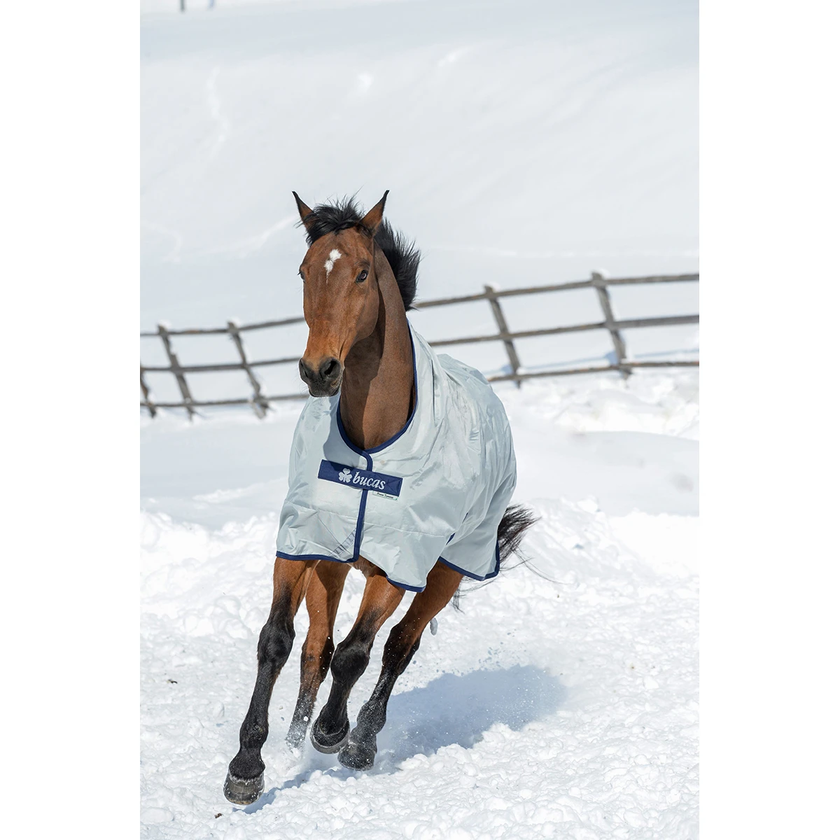 Deken Bucas Power Turnout High Neck 0gr Zilver - Afbeelding 3