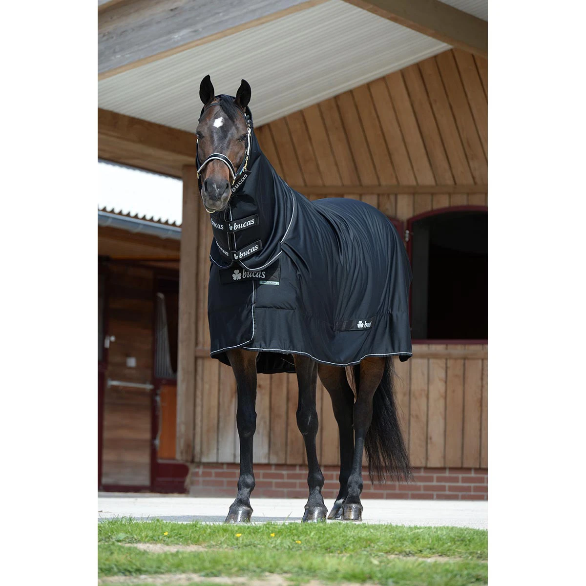 Deken Bucas Shamrock Power Full Neck Zwart-zilver - Afbeelding 2