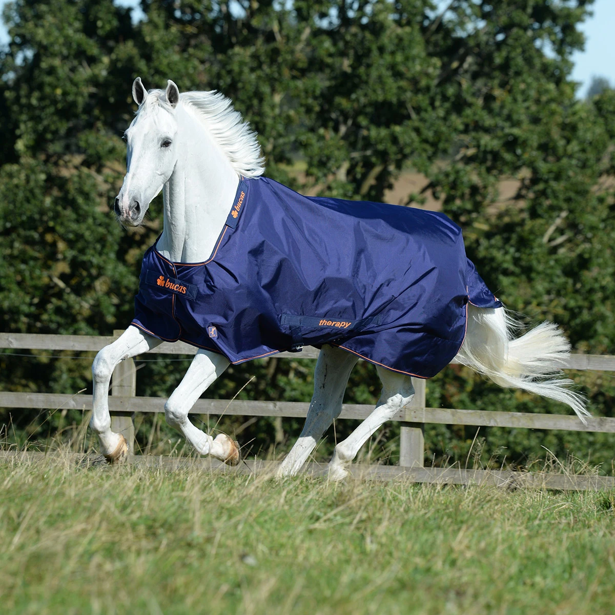 Deken Bucas Therapy Turnout Light Donkerblauw-oranje - Afbeelding 5