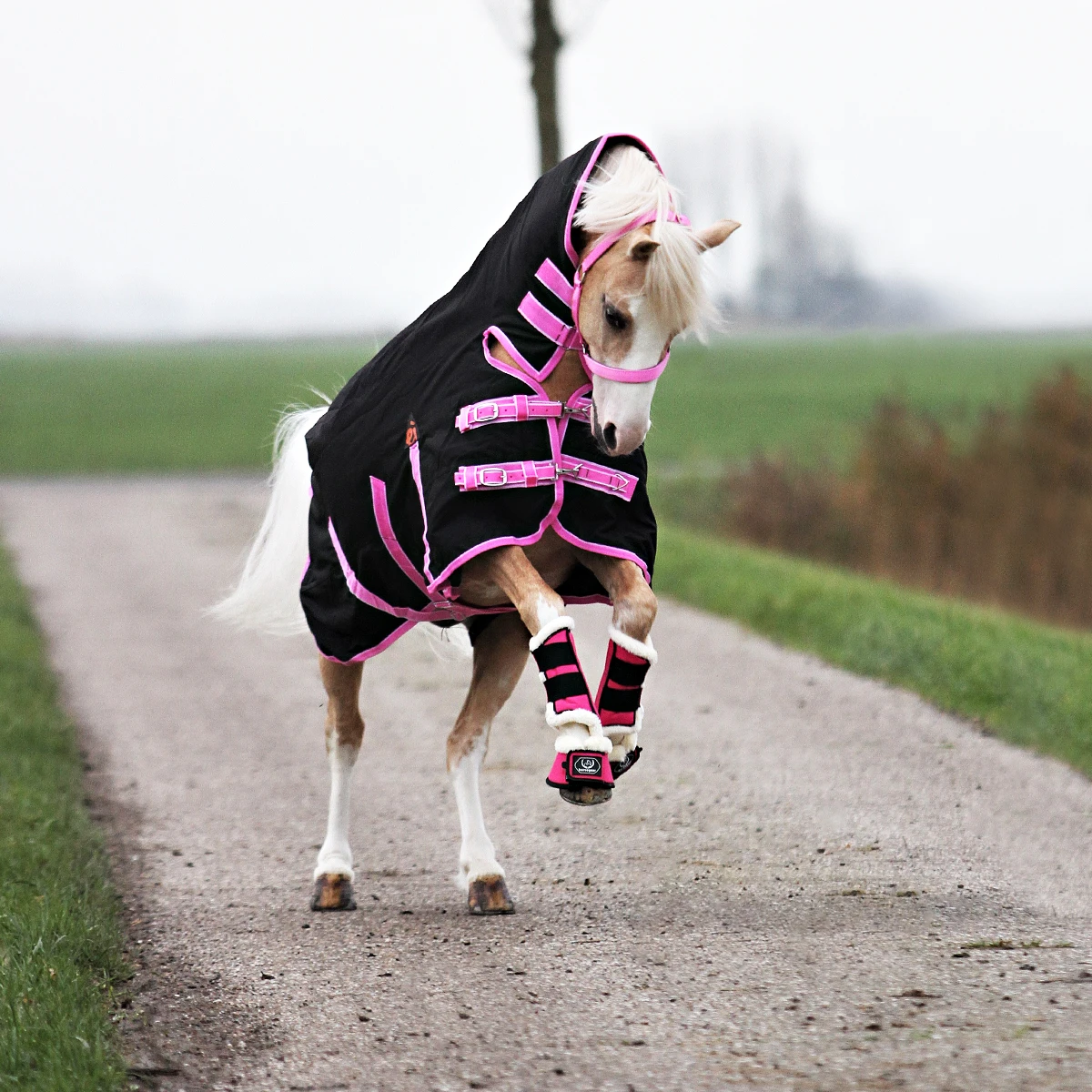 Deken Epplejeck Junior Full Neck 300gr Zwart-roze - Afbeelding 7