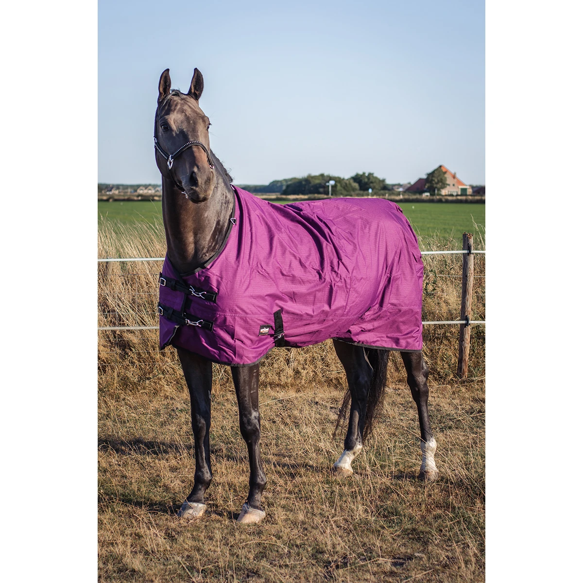 Deken Epplejeck Rindal 0gr Donkerrood - Afbeelding 4