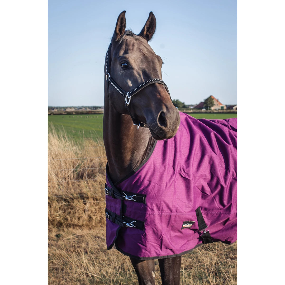 Deken Epplejeck Rindal 0gr Donkerrood - Afbeelding 6