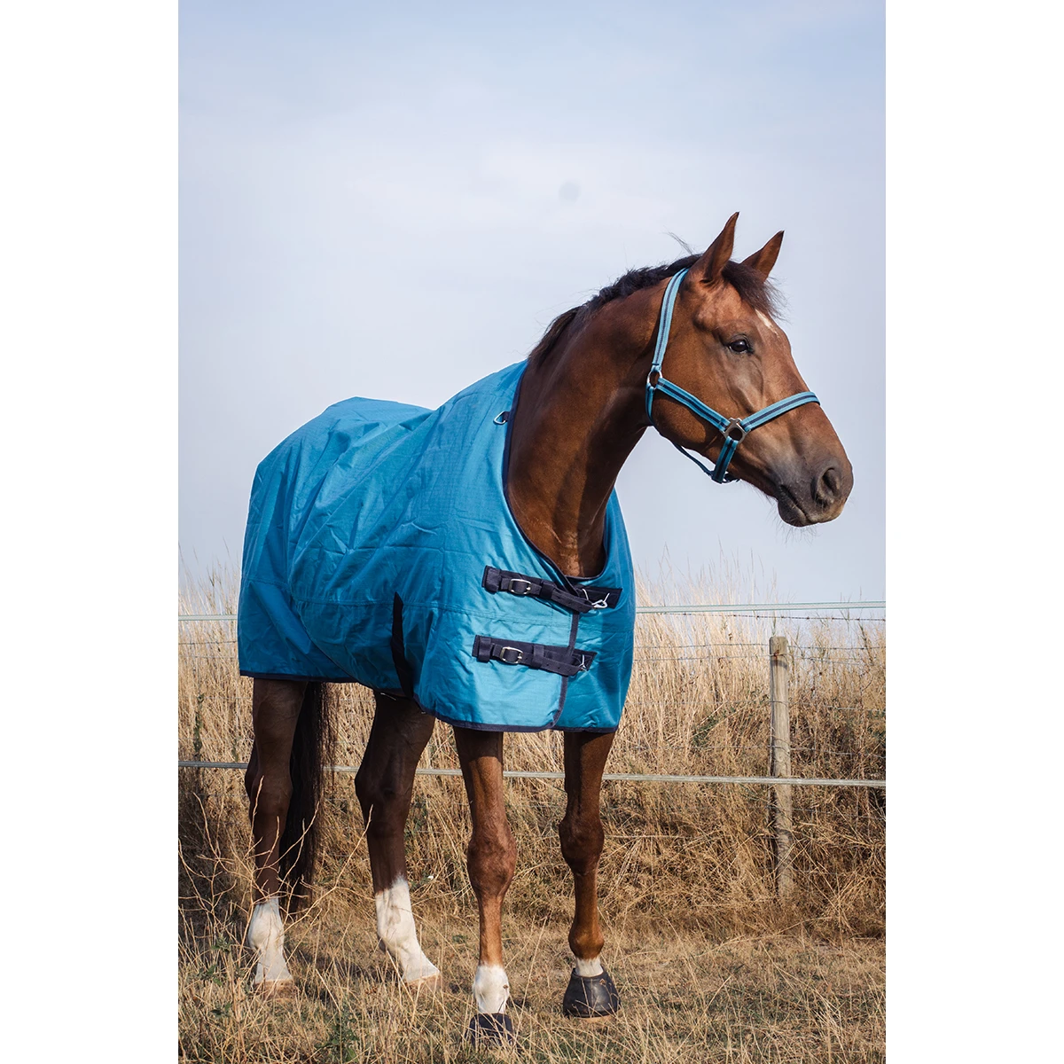 Deken Epplejeck Rindal 100gr Middenblauw - Afbeelding 4